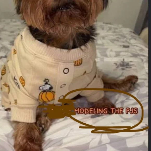 AE Dog Pajamas / Snoopy - Picture 7 of 8